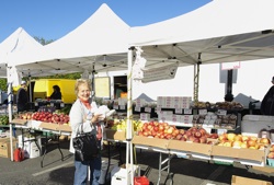 2010 Nyack Farmers Market. Photo Credit: A . Roufa, MD