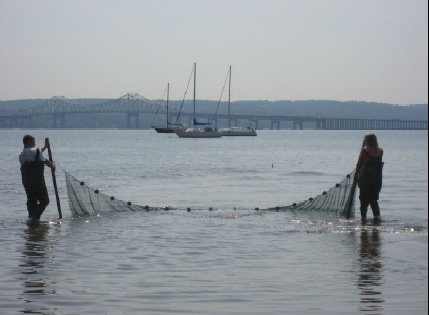 hudson-river-net
