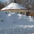SnowGazebo2