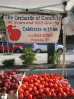 bb_nsl_concklin at the farmers market_b