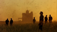 Backyard Cinema_Days of Heaven