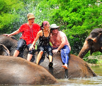 EisinbergsElephants201208