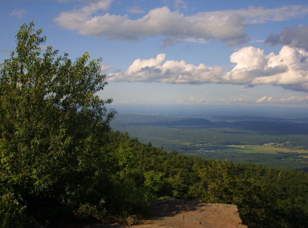Green County