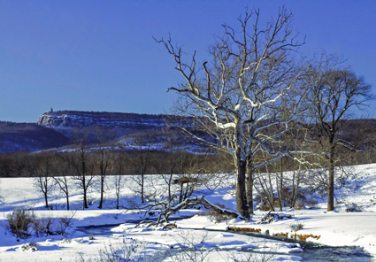 ap_WinterNewPaltz201202