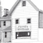 squash blossom_thumbnail