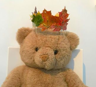 Leaf crown